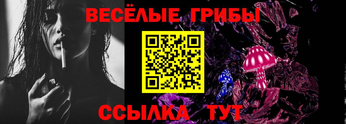 Псилоцибиновые грибы прущие грибы Долгопрудный